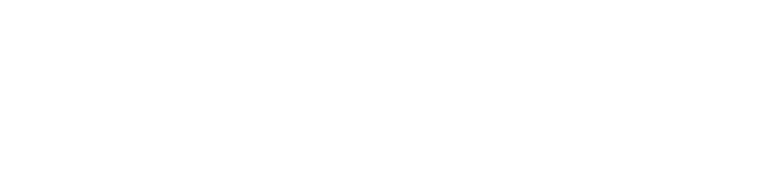 Atelier Palmarini